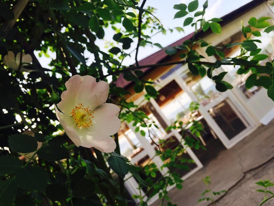 Kompleksi Turistik Edir Orikum Exterior foto